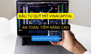 Dau tu quy mo vinacapital